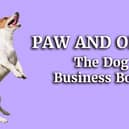 Happy playful Jack Russell Terrier dog playing