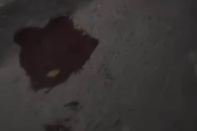 Blood in Lower Drayton Lane
