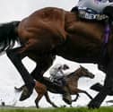 Cheltenham 2025 is live on ITV 