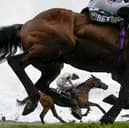 Cheltenham 2025 is live on ITV 
