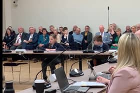 Lyla and George speaking at Hampshire County Council's decision-making cabinet meeting over the closure of Stubbington Study Centre