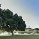Police received several reports of a group of men being aggressive to members of the public at Canoe Lake and in the Rose Garden
