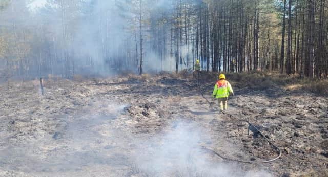 Firefighters tackled a large woodland fire at Moors Valley Country Park yesterday (March 31).