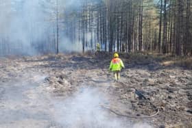 Firefighters tackled a large woodland fire at Moors Valley Country Park yesterday (March 31). 
