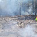 Firefighters tackled a large woodland fire at Moors Valley Country Park yesterday (March 31). 