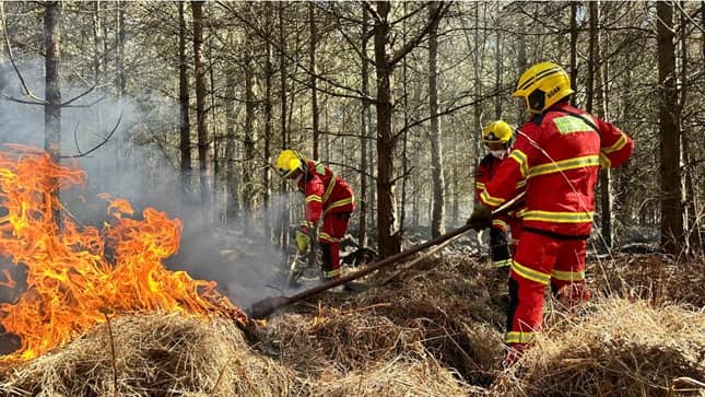 Dorset & Wiltshire Fire and Rescue Service have been attending a second wildfire at Moors Valley Country Park. 
