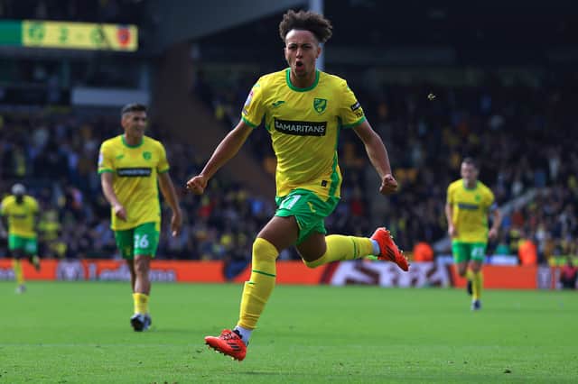 Kaide Gordon made 10 appearances on loan at Norwich in the first half of the campaign. Picture: Stephen Pond/Getty Images