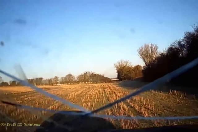 Charlie Taylor, driving after the crash. A reckless drink driver was caught on his own dash cam crashing his car into a tree after a night of booze - and plotting to falsely report it stolen. 