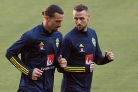 New Pompey defender Alex Milosevic, right, with  Zlatan Ibrahimovic on Sweden international duty. Pic: Getty