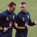 New Pompey defender Alex Milosevic, right, with  Zlatan Ibrahimovic on Sweden international duty. Pic: Getty