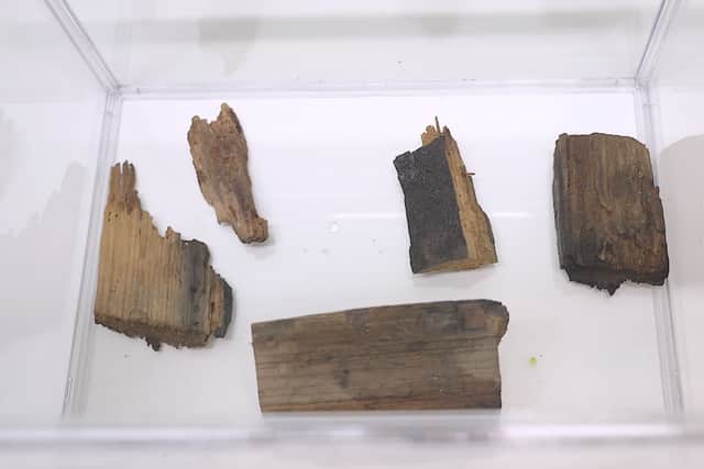 HMS Victory timber housing Deathwatch beetles at London Zoo 
