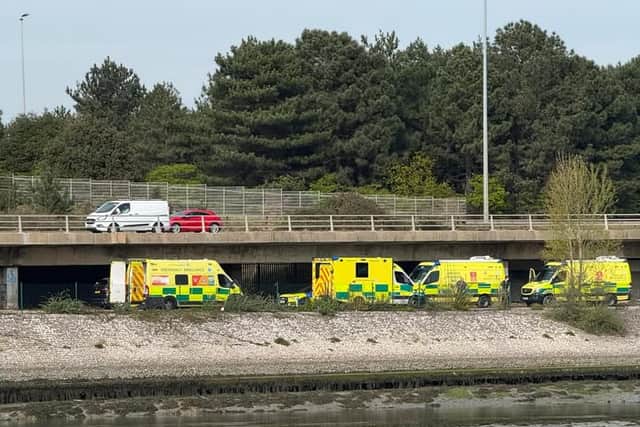 Emergency crews beneath M275 after suspected crash