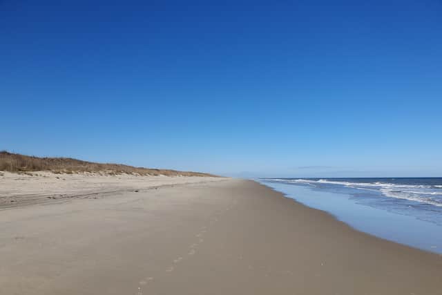 From the end-of-the-world, pristine Atlantic coastline at False Cape State Park...