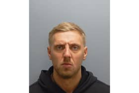 Philip Anderson, 36, of Dorset Crescent in Basingstoke, received 14 months imprisonment and a six-year football banning order.