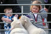 Easter holiday activities at Fort Nelson included a petting zoo Picture: Chris Moorhouse (160425-52)