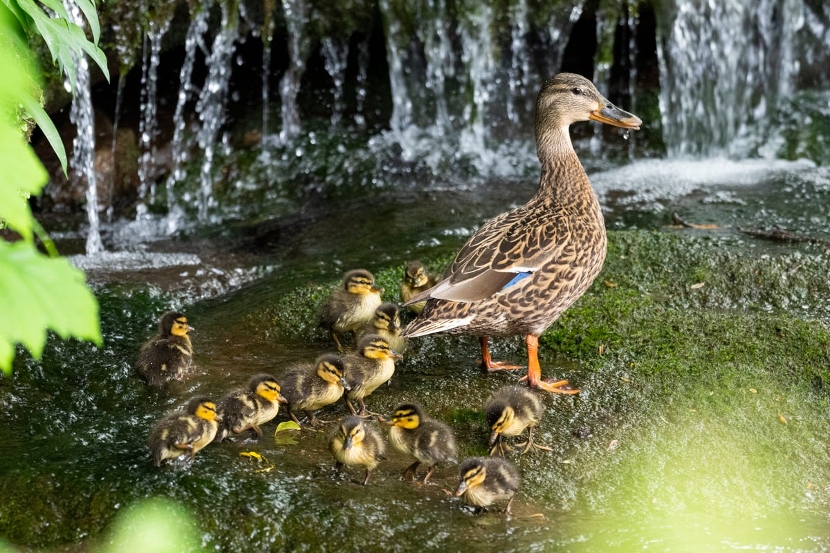 featured-image
