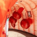 A giant inflatable bowel is going to be set up in Portsmouth to raise awareness for bowel cancer.