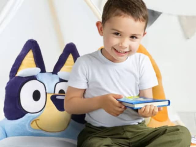 Kids will love this Bluey and Bingo Plush Sofa Chair now 47% off from Wowcher 