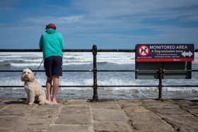 Dog owners could face fines of £1,000 if they take their dogs to the beach this summer.