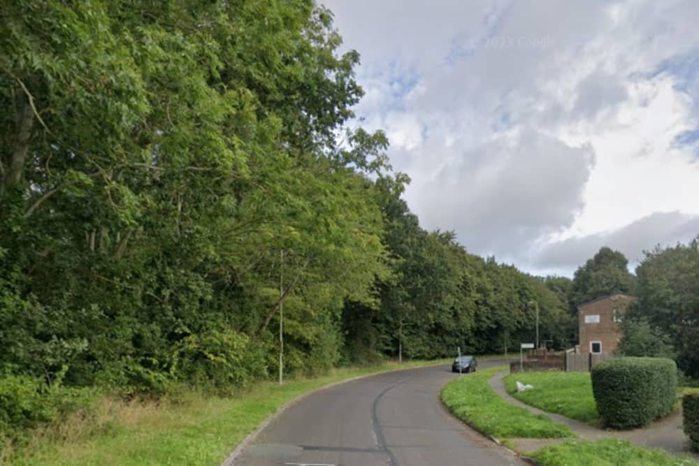 Police are appealing for witnesses after a man in his 80s crashed in to a lamppost in Havant on Tuesday, April 29.