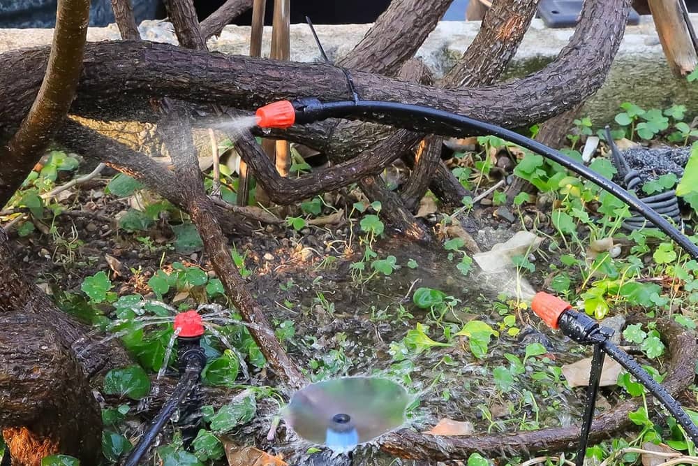 Automatic irrigation systems allow you to enjoy your garden without having to water it yourself