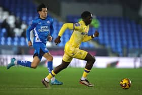 Pompey are reportedly trailing Crystal Palace starlet Hindolo Mustapha. Pic: Getty