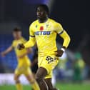 Pompey are eyeing Crystal Palace starlet Hindolo Mustapha. Pic: Getty