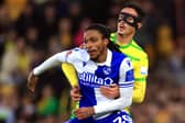 One-time Pompey target Jevani Brown