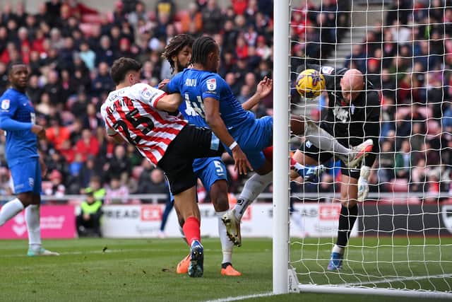 Nectar Triantis has been linked with Pompey.