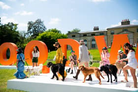 The countdown to Goodwoof 2025 is on as it is a week to go. 