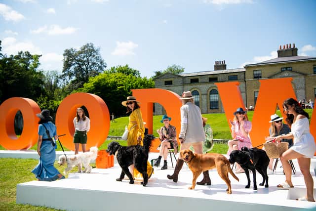 The countdown to Goodwoof 2025 is on as it is a week to go.