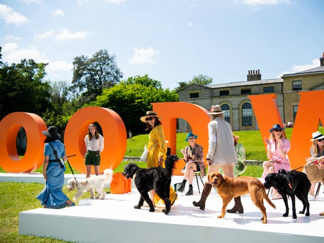 The countdown to Goodwoof 2025 is on as it is a week to go. 