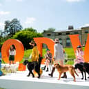 The countdown to Goodwoof 2025 is on as it is a week to go. 