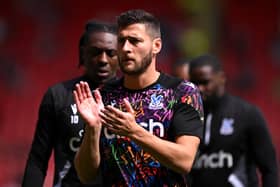 Joel Ward will leave Crystal Palace this summer.