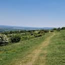 Butser Hill