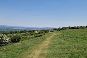 Butser Hill