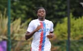 Crystal Palace's Pompey target Hindolo Mustapha. Pic: Getty