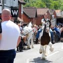 Crowds at the horse fair. Picture: Sarah Standing (200525-7205)