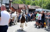 Crowds at the horse fair. Picture: Sarah Standing (200525-7205)