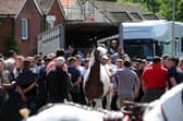 The Wickham Horse Fair took place in Wickham Square, Wickham, on Tuesday, May 20, 2025.

Picture: Sarah Standing (200525-7165)