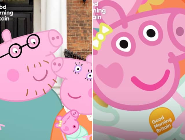 Mummy Pig gives birth to new piglet - Evie Pig