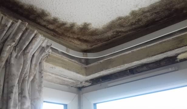 One of the main causes of damp and mould is condensation, according to Portsmouth City Council