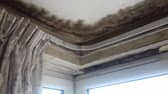 One of the main causes of damp and mould is condensation, according to Portsmouth City Council