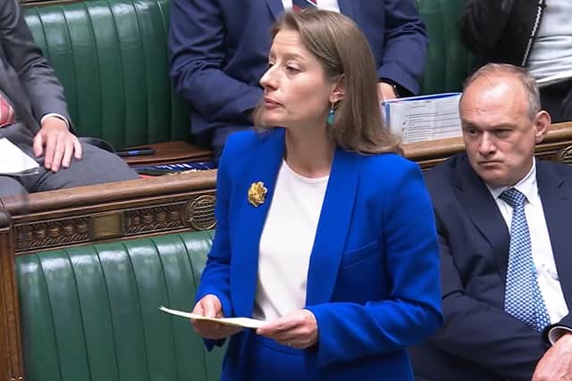 Liberal Democrat MP Helen Maguire was concerned by a number of issues within the SDR.
