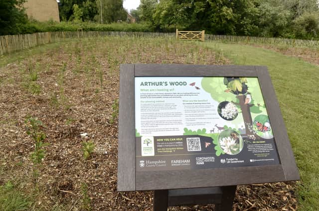 Around 1,650 new trees and shrubs were planted in total. Picture: Sarah Standing (030625-4044)