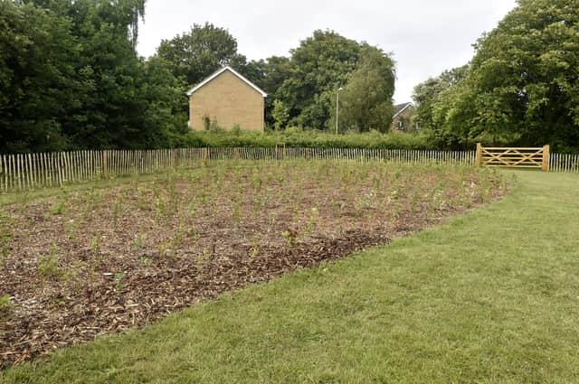 A ceremony was held to officially name the mini forest which is known as Arthur's Wood in memory of councillor Arthur Mandry who passed away in 2024.
Picture: Sarah Standing (030625-4038)