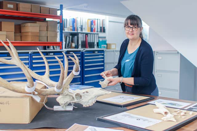 Pictured: Dr Fay Worley with deer antlers from over 4000 BC
Picture: Habibur Rahman