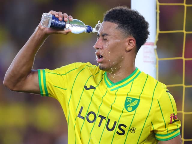 Out-of-contract Norwich defender Jonathan Tomkinson is reportedly wanted by Pompey