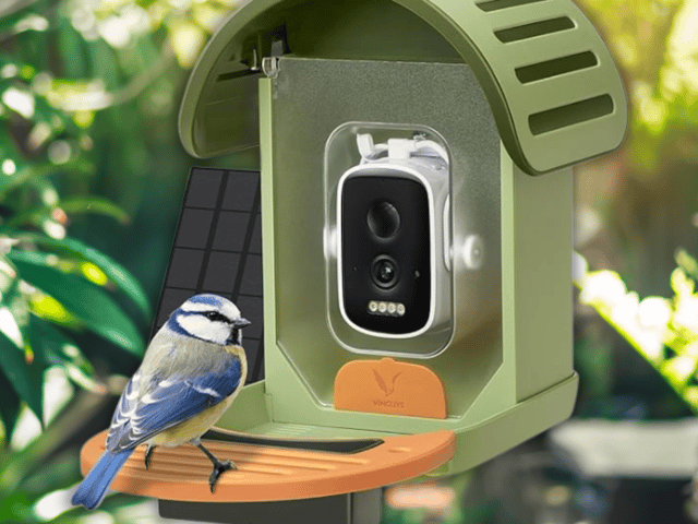 The VINGUYS Bird Feeder Camera brings tech to birdwatching
