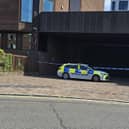 Officers investigating the rape of a woman in her 20s have arrested a 25-year-old man from Portsmouth.